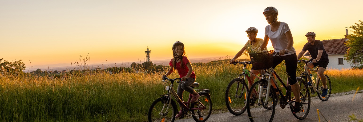 A family riding bicycles at sunset