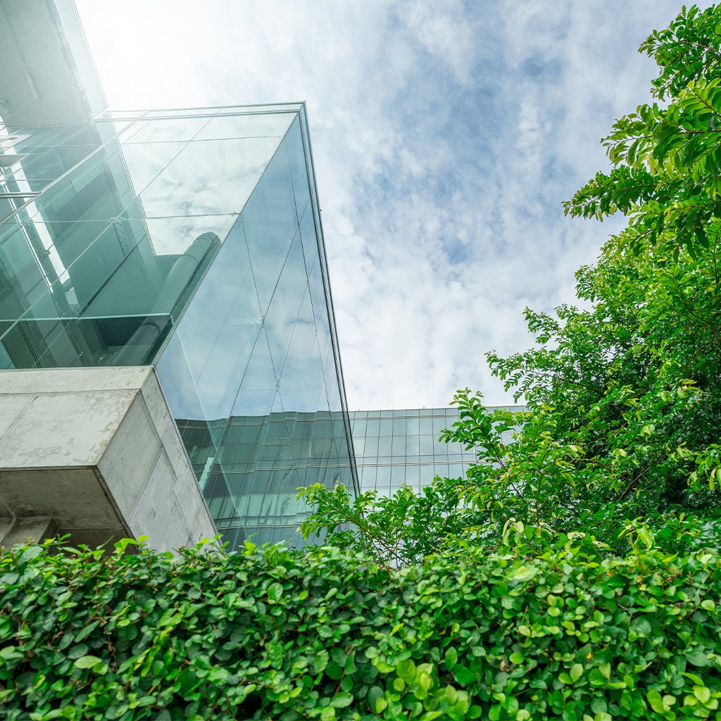 A hospital with a green courtyard